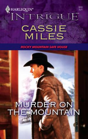 Cover of the book Murder on the Mountain by Diana Duncan