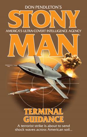 Cover of the book Terminal Guidance by Alex Archer