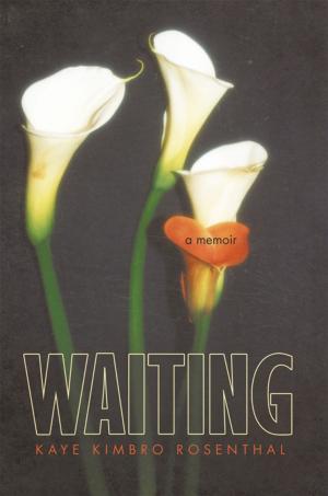 Cover of the book Waiting by Vivek Vaishampayan PMP MCTS PMI-ACP