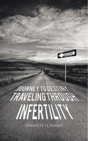 Cover of the book Journey to Destiny, Traveling Through Infertility by Michael William Newman
