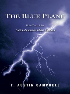 Cover of the book The Blue Plane by Robb McDaniel