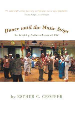 Cover of the book Dance Until the Music Stops by Martin Richenhagen