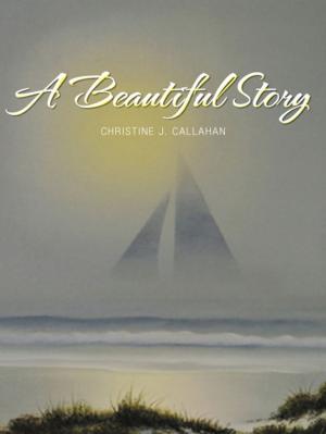 Cover of the book A Beautiful Story by JIM CUBA