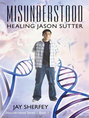 Cover of the book Misunderstood: Healing Jason Sutter by Lewis E. Cook