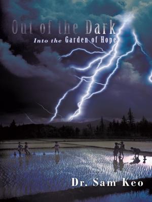 Cover of the book Out of the Dark by Richard Rapp
