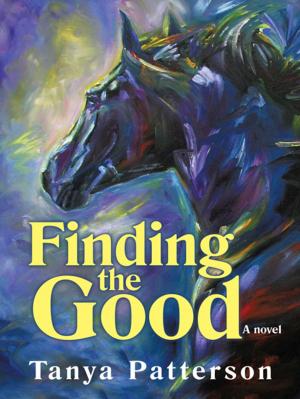 bigCover of the book Finding the Good by 
