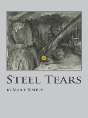 Cover of the book Steel Tears by Melanie Zachoda, Reg Johnston