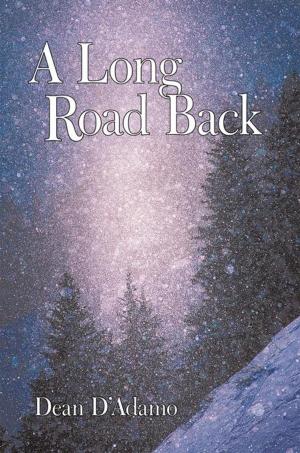 Cover of the book A Long Road Back by B.J. Ray