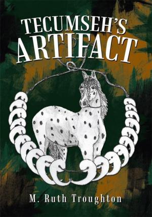 Cover of the book Tecumseh’S Artifact by Keith N. Ferreira