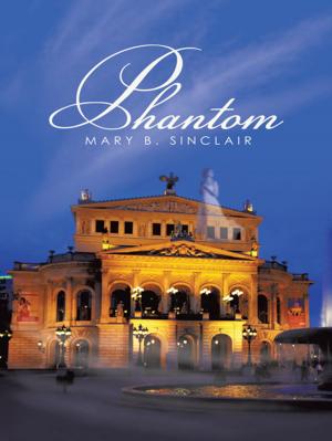 Cover of the book Phantom by Dragan Vujic