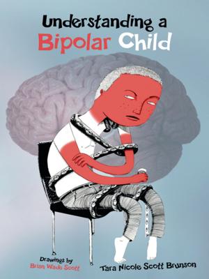 Cover of the book Understanding a Bipolar Child by Edith M. Pye