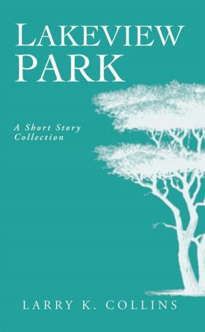Book cover of Lakeview Park: