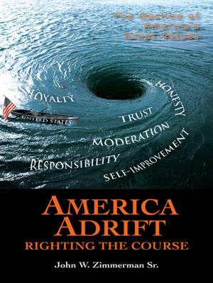 Book cover of America Adrift—Righting the Course