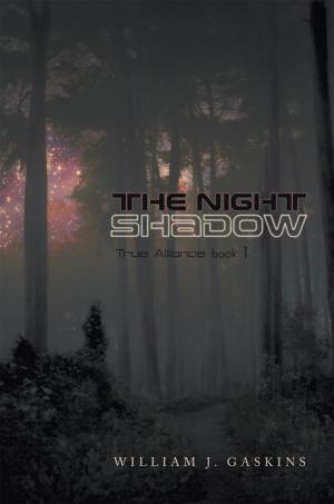 Cover of the book The Night Shadow by Richard Leviton