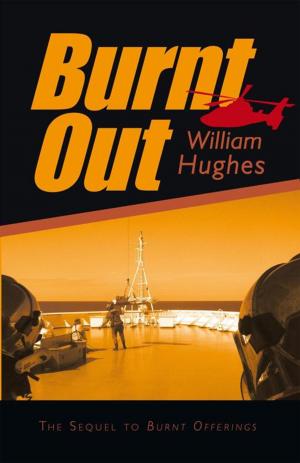 Cover of the book Burnt Out by J. L. Larson