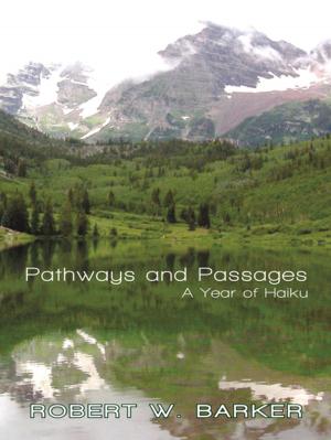 Cover of the book Pathways and Passages by Stephen Warren