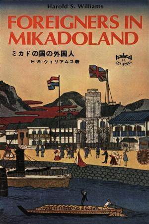 Cover of the book Foreigners in Mikadoland by Christian Adams