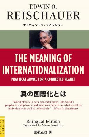 Cover of the book The Meaning of Internationalization by Boye Lafayette De Mente, Junji Kawai