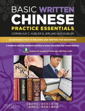 Book cover of Basic Written Chinese Practice Essentials
