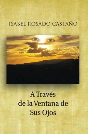 Cover of the book A Través De La Ventana De Sus Ojos by Lic. Olga García, Lic. Alejandro Pichel