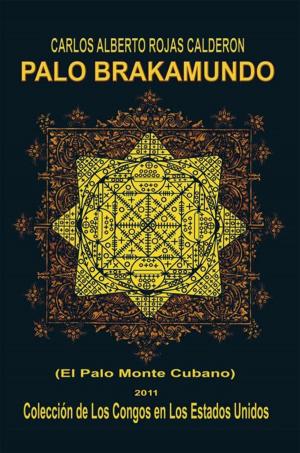 Cover of the book Palo Brakamundo by Gustavo Arencibia