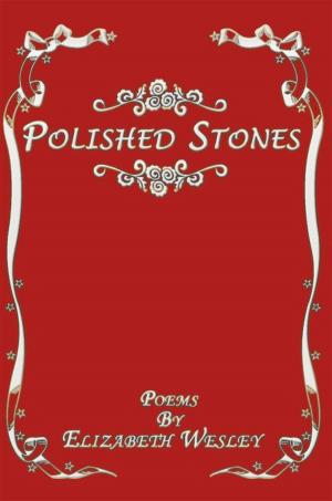 Cover of the book Polished Stones by Easy Waters