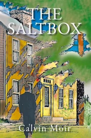 Cover of the book The Saltbox by RJD Ferguson
