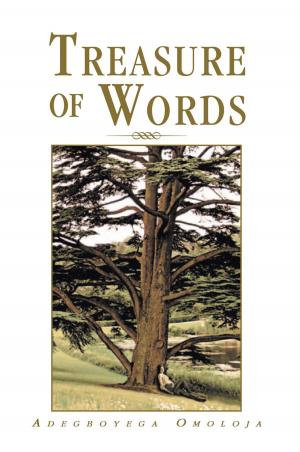 Cover of the book Treasure of Words by Benjamin Tatanka Dakota