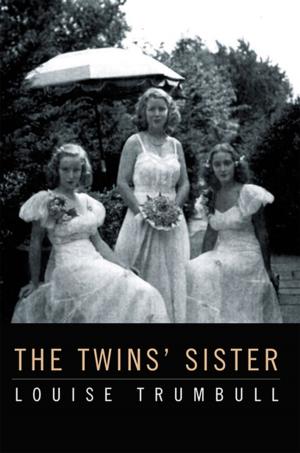 Book cover of The Twins' Sister