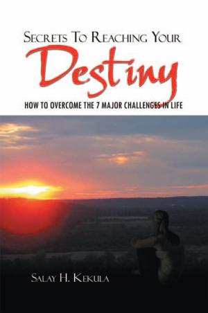 Cover of the book Secrets to Reaching Your Destiny by 