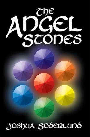 Cover of the book The Angel Stones by Letton Edgington