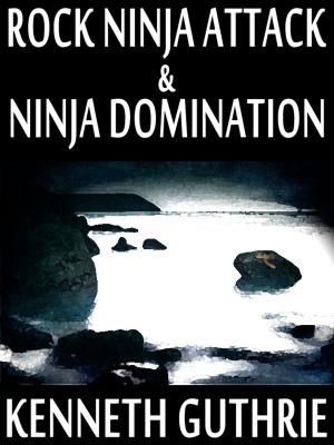 Cover of the book Rock Ninja Attack and Ninja Domination (Two Story Pack) by Graylin Fox