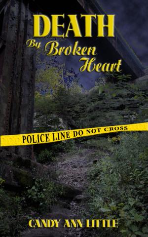 Cover of the book Death by Broken Heart by May Freighter