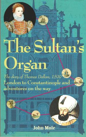 Cover of the book The Sultan's Organ by Edmondo De Amicis
