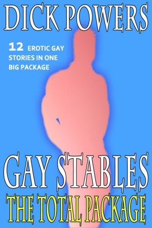 Book cover of Gay Stables: The Total Package