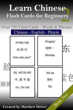 Book cover of Learn Chinese: Flash Cards for Beginners. Book 2