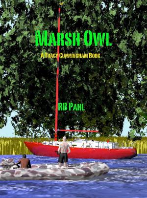 Cover of the book Marsh Owl: TCPI 6 by Will North