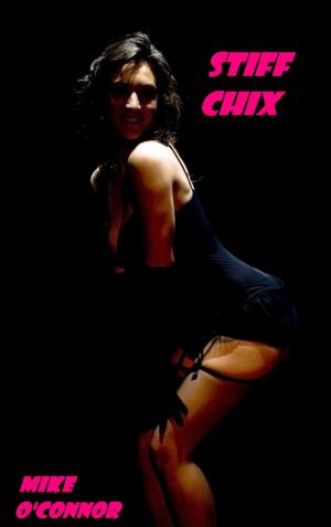 bigCover of the book Stiff Chix by 