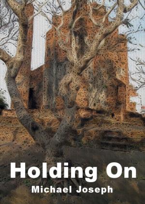 Cover of the book Holding On by Lynn E. O'Connacht