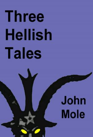 Cover of the book Three Hellish Tales by Martin McGregor