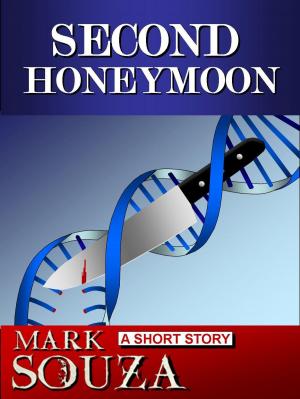 Cover of the book Second Honeymoon by Lisa Henry