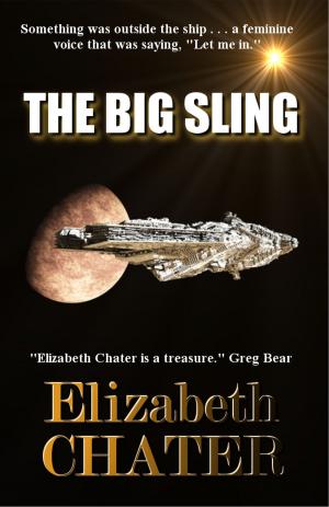 Cover of the book The Big Sling by Debra Shiveley Welch