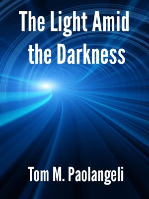 Cover of the book The Light Amid the Darkness by Evan Willnow