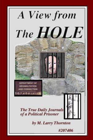 Book cover of A View From The Hole