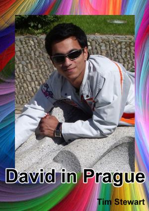 bigCover of the book David In Prague by 