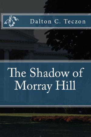 Cover of the book The Shadow of Morray Hill by Jane Porter