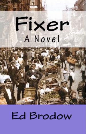 Cover of the book Fixer by John Orton