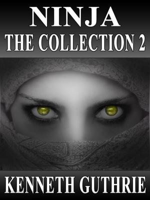Book cover of Ninja: The Collection 2 (Stories 5-8)