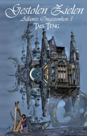 Cover of the book Gestolen Zielen by Tais Teng
