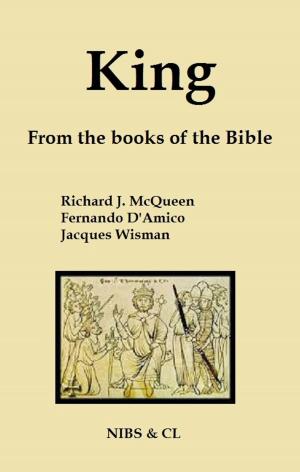 Book cover of King: From the books of the Bible